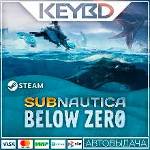 Subnautica: Below Zero · Steam Gift АВТО 0% Карты