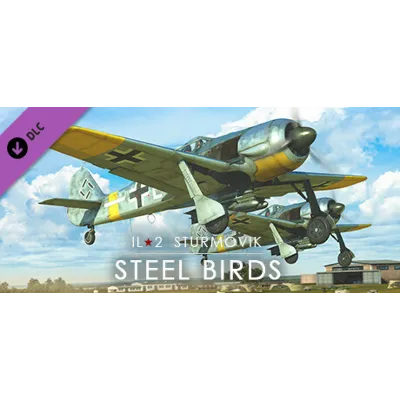 IL-2 Sturmovik: Steel Birds Campaign DLC * STEAM RU - irongamers.ru