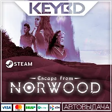 Escape from Norwood · Steam Gift АВТО 0% Карты