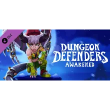 Dungeon Defenders: Awakened - Winter Defenderland DLC