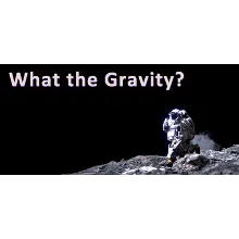 What The Gravity АВТОДОСТАВКА STEAM GIFT РОССИЯ
