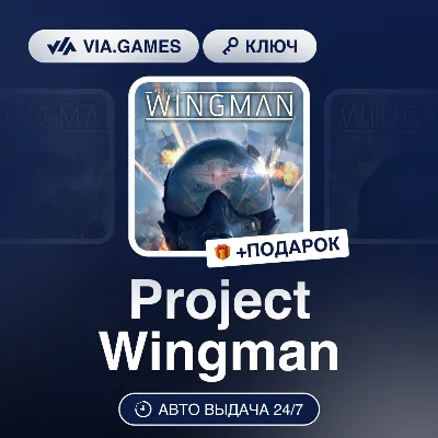 Project Wingman (Steam Ключ) (Не все страны) + ПОДАРОК - irongamers.ru