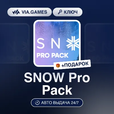 SNOW Pro Pack (Steam Ключ) РФ-СНГ-МИР + ПОДАРОК - irongamers.ru
