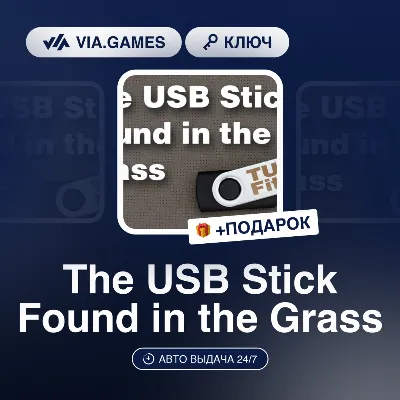 The USB Stick Found in the Grass (Steam Ключ) РФ-СНГ-МИР + ПОДАРОК - irongamers.ru