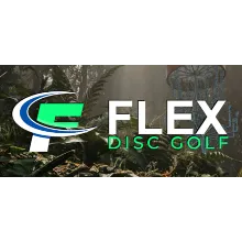 FLEX Disc Golf АВТОДОСТАВКА STEAM GLOBAL МГНОВЕННО ЛИЦЕНЗИЯ