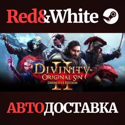 Divinity: Original Sin 2 * STEAM RU*KZ*UA*СНГ - irongamers.ru