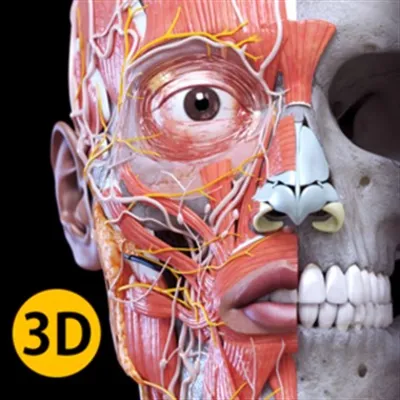 Анатомия - 3D Атлас Подписка Microsoft Store ПК