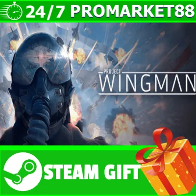 ⭐ ВСЕ СТРАНЫ+РОССИЯ⭐ Project Wingman Steam Gift - irongamers.ru