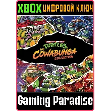 TEENAGE MUTANT NINJA TURTLES: THE COWABUNGA XBOX