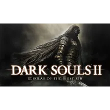 DARK SOULS 2 Оффлайн Активация Без очереди