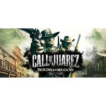 Call of Juarez: Bound in Blood (Steam Gift Россия)