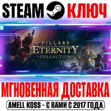 Pillars of Eternity Collection (I + II) Steam Ключ