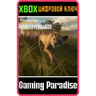 THEHUNTER: CALL OF THE WILD - PARQUE FERNANDO XBOX КОД - irongamers.ru