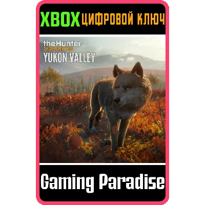 THEHUNTER: CALL OF THE WILD - YUKON VALLEY XBOX КЛЮЧ - irongamers.ru