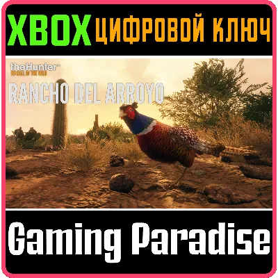 THEHUNTER: CALL OF THE WILD - RANCHO DEL ARROYO XBOX - irongamers.ru
