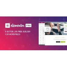 Elementor PRO - Best WordPress Page Builder 3.20.2