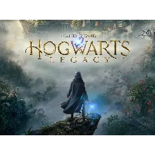 hogwarts legacy Deluxe PS 4 / PS5 общий
