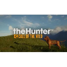 THEHUNTER: CALL OF THE WILD - BLOODHOUND XBOX КЛЮЧ