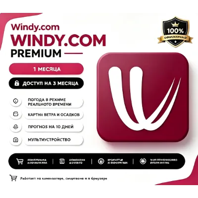 Подписка на премиум-аккаунт Windy.com на 1 год - irongamers.ru