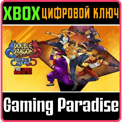 DOUBLE DRAGON GAIDEN: RISE OF THE DRAGONS XBOX КЛЮЧ - irongamers.ru