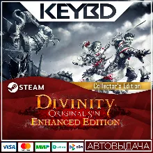 Divinity: Original Sin Enhanced Edition Collector's Edi