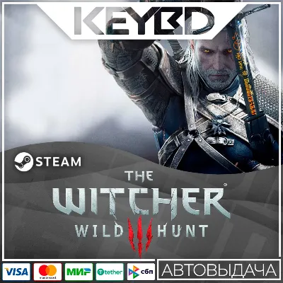 The Witcher 3: Wild Hunt · Steam Gift RU · АВТОДОСТАВКА - irongamers.ru