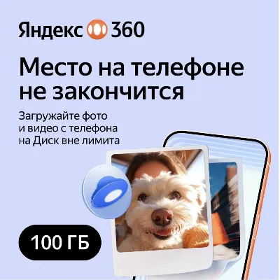Облачное хранилище Яндекс 360 Диск 100 ГБ 12 мес - irongamers.ru