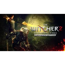The Witcher 2: Assassins of Kings STEAM GIFT ВСЕ СТРАНЫ