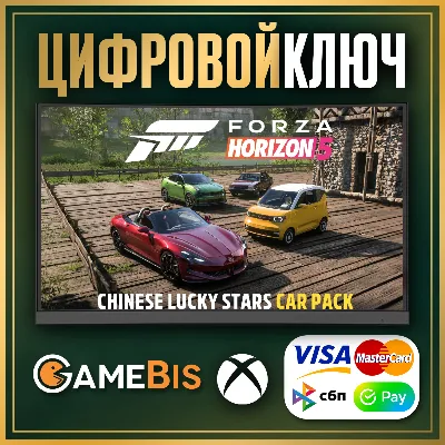 FORZA HORIZON 5 Chinese Lucky Stars Car Pack XBOX PC - irongamers.ru