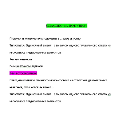 Анатомия центральной нервной системы - ответы СИНЕРГИЯ - irongamers.ru
