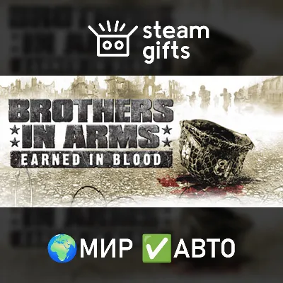 Brothers in Arms: Earned in Blood МИР АВТО - irongamers.ru