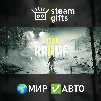 Kona 2 МИР АВТО - irongamers.ru