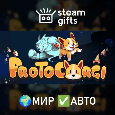 ProtoCorgi МИР АВТО - irongamers.ru