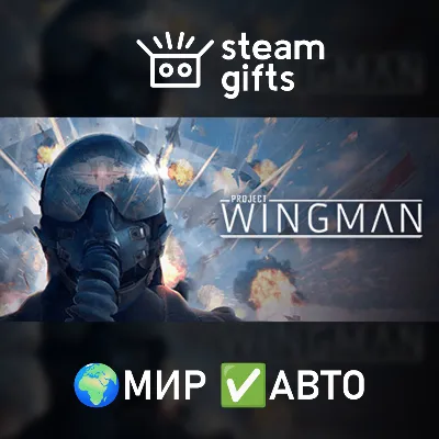 Project Wingman МИР АВТО - irongamers.ru