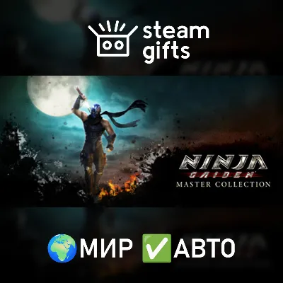 NINJA GAIDEN: Master Collection МИР АВТО - irongamers.ru