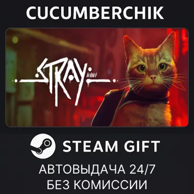 Stray STEAM GIFT AUTO RU+МИР - irongamers.ru