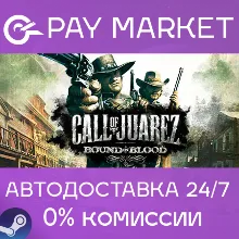 Call of Juarez: Bound in Blood | АВТОДОСТАВКА RU Gift
