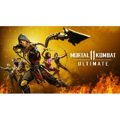 💳 Mortal Kombat 11 (PS4/PS5/RU) Активация П2-П3 - irongamers.ru