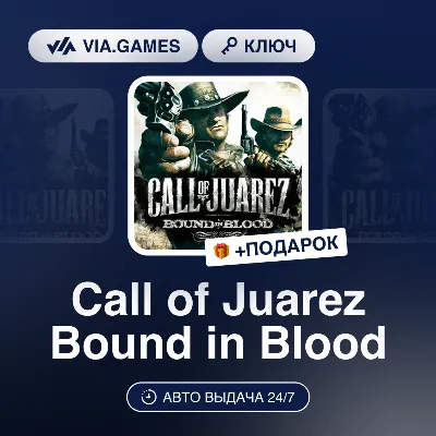 Call of Juarez Bound in Blood (Steam Ключ) РФ-СНГ-МИР + ПОДАРОК - irongamers.ru