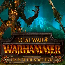 TOTAL WAR: WARHAMMER - THE REALM OF THE WOOD ELVES (DLC) STEAM КЛЮЧ