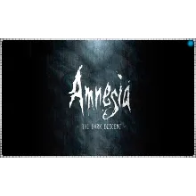 Amnesia: Collection (PS4/PS5/RU) П3 - Активация