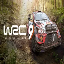 WRC 9 FIA World Rally Championship (Steam ключ / РФ+Мир)
