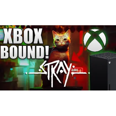 Stray(Xbox)+игры общий аккаунт - irongamers.ru
