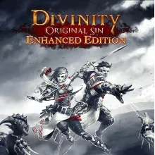 Divinity: Original Sin PS Турция На ВАШ аккаунт!