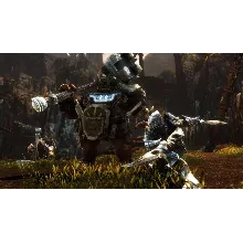 Kingdoms of Amalur: Re-Reckoning - FATE EDITION КЛЮЧ
