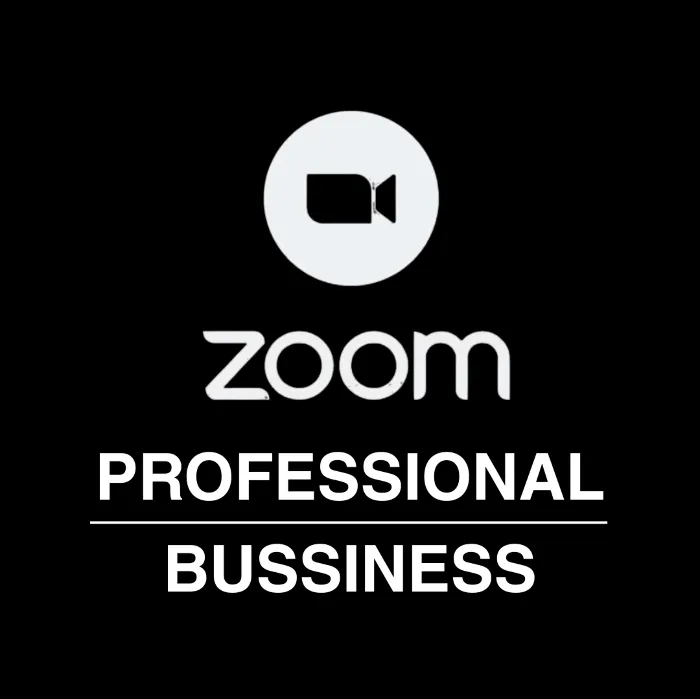 Zoom Pro · Bussiness 1-12 мес