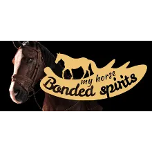 My Horse: Bonded Spirits (Steam Gift Россия)