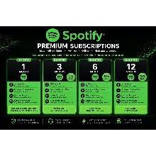 1-3-6-12 месяц Spotify PREMIUM [ГАРАНТИЯ] НА ВАШ АККАУНТ продажи