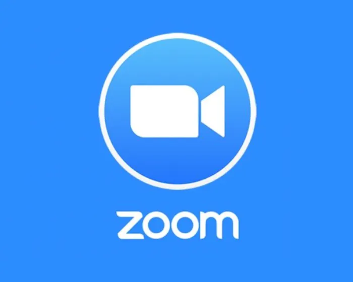 Zoom Workplace Pro subscription 1-12 months