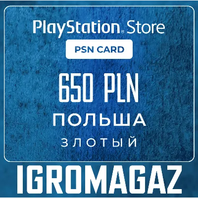 Карта оплаты Sony PlayStation 100 zl (Польша) - irongamers.ru